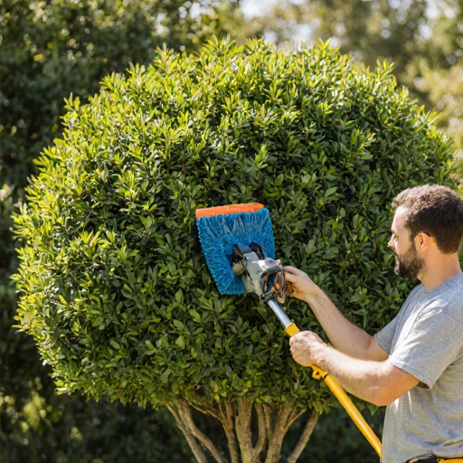 Уход за Растениями